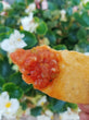 D's Medium Salsa